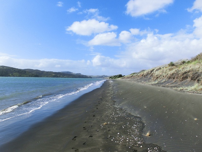 Raglan, black beach