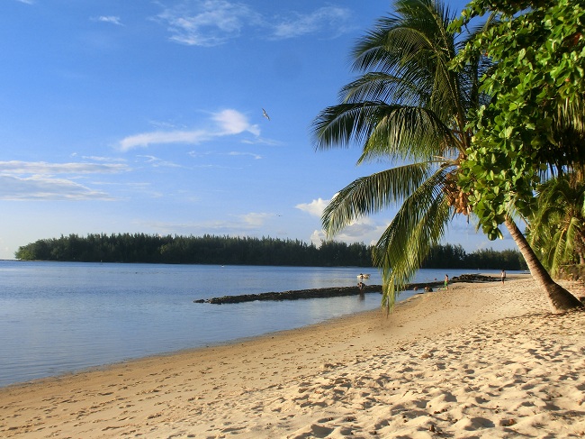 Strand am Camping Nelson in Moorea - Französisch Poynesien