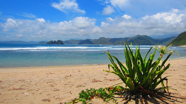 Mawi Beach, Lombok