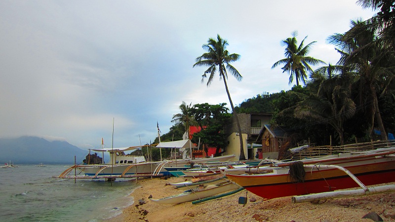 Apo Island