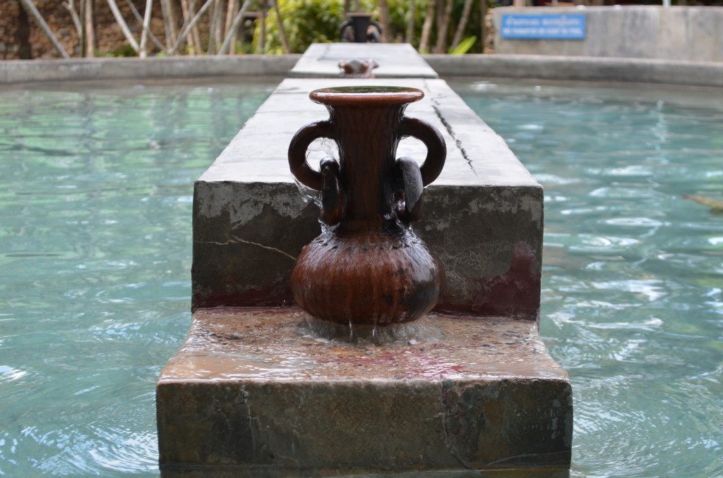 DSC_0698